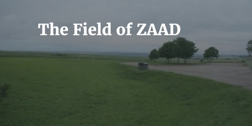 The Field of ZAAD